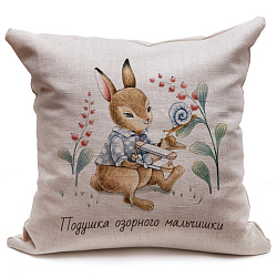 Наволочка декоративная "Кролик/Подушка озорного мальчишки", 45 на 45 см